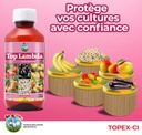 TOP LAMDA 1L